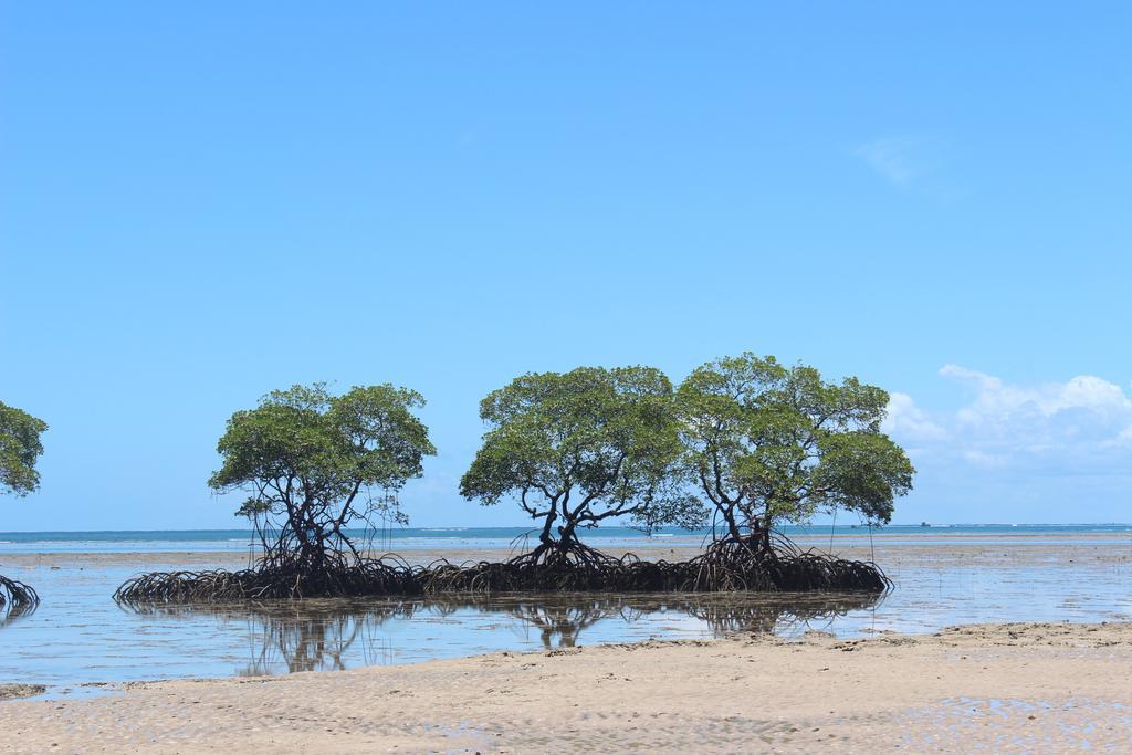 Pousada O Rancho Alegre Морере Экстерьер фото